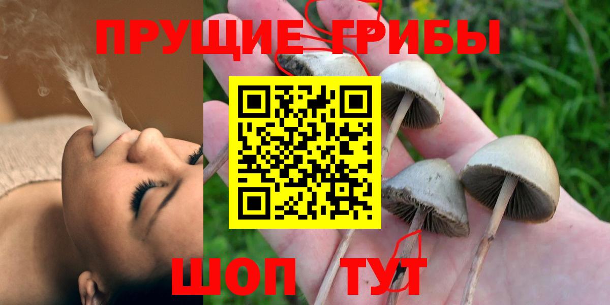 Псилоцибиновые грибы Psilocybe Белорецк